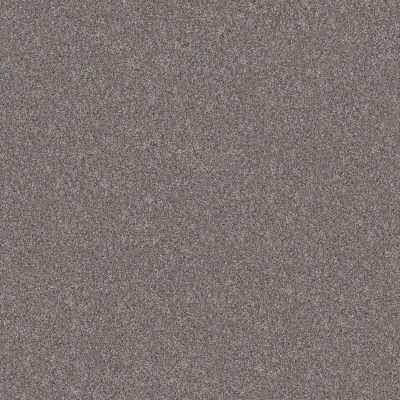Shaw Floors PET PERFECT Bold Move Castle Grey 00529_5E841