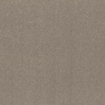 Shaw Floors PET PERFECT Hard At Play I 12' Chic Greige 00111_5E557