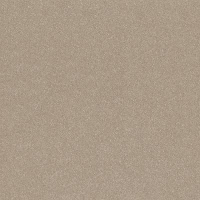 Shaw Floors PET PERFECT Hard At Play I 12' Subtle Clay 00114_5E557