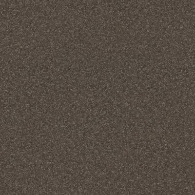 Shaw Floors PET PERFECT Hard At Play I 12' Urban Rustic 00708_5E557