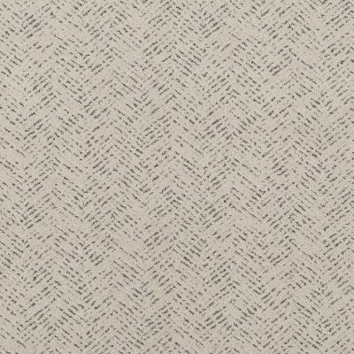 Shaw Floors PET PERFECT Favoured Path Marble 00103_5E586