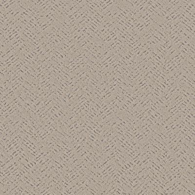 Shaw Floors PET PERFECT Favoured Path Warm Light 00116_5E586