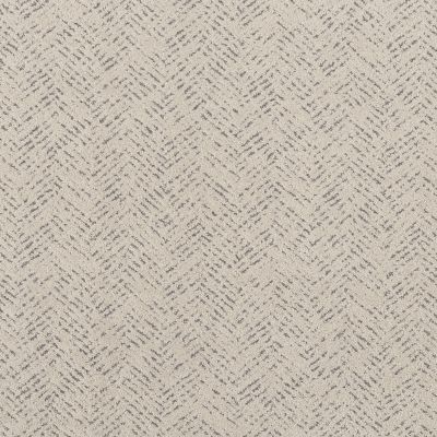 Shaw Floors PET PERFECT Favoured Path Snowfall 00150_5E586