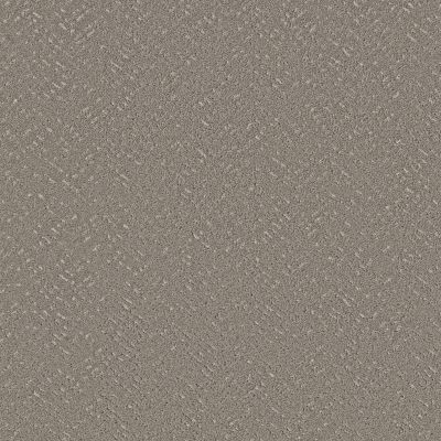 Shaw Floors PET PERFECT Favoured Path Ashes 00501_5E586