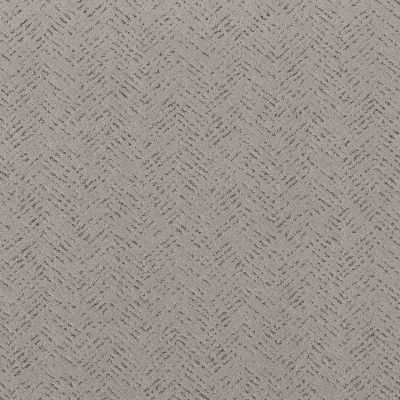 Shaw Floors PET PERFECT Favoured Path Gravity 00556_5E586