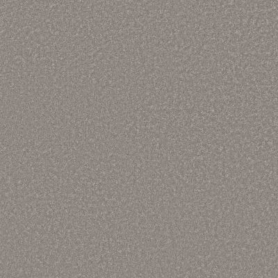 Shaw Floors PET PERFECT Bold Move Ashes 00551_5E841