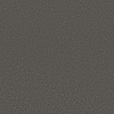 Shaw Floors PET PERFECT Bold Move Charcoal 00555_5E841