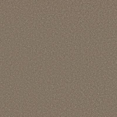 Shaw Floors PET PERFECT Bold Move Boardwalk 00751_5E841