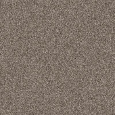 Shaw Floors PET PERFECT Bending The Rules I 15' Soft Sense 00112_NA528