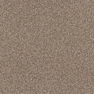 Shaw Floors PET PERFECT Bending The Rules Ii 12 Sea Shell 00100_NA529