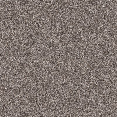 Shaw Floors PET PERFECT Bending The Rules Ii 12 Alaskan Air 00500_NA529