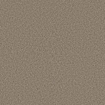 Shaw Floors Pet Perfect Plus Renewed Energy I Khaki 00700_5E671