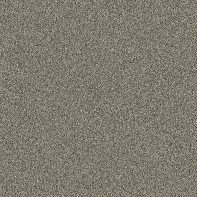 Shaw Floors Pet Perfect Plus Renewed Energy I Granite 00121_5E671