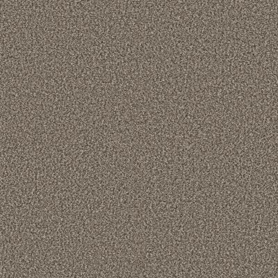 Shaw Floors Pet Perfect Plus Renewed Energy I Countryside 00122_5E671