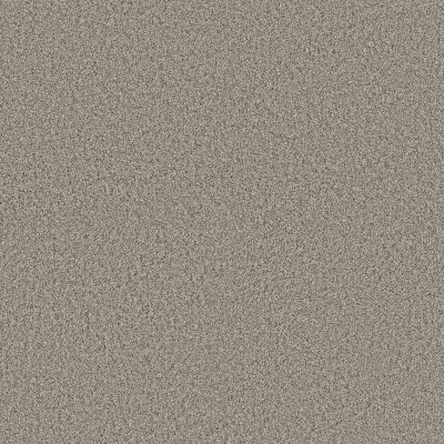 Shaw Floors Pet Perfect Plus Renewed Energy I Landscape 00125_5E671