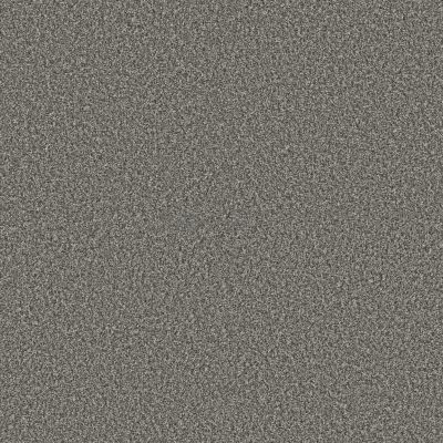 Shaw Floors Pet Perfect Plus Renewed Energy I Paris Sky 00413_5E671