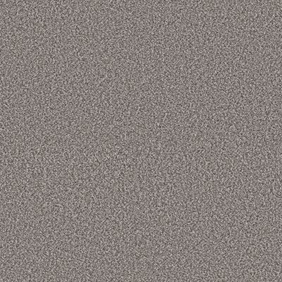 Shaw Floors Pet Perfect Plus Renewed Energy I Fog 00503_5E671
