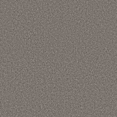Shaw Floors Pet Perfect Plus Renewed Energy I Cityscape 00519_5E671