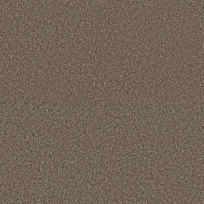 Shaw Floors Pet Perfect Plus Renewed Energy I Freckles 00109_5E671