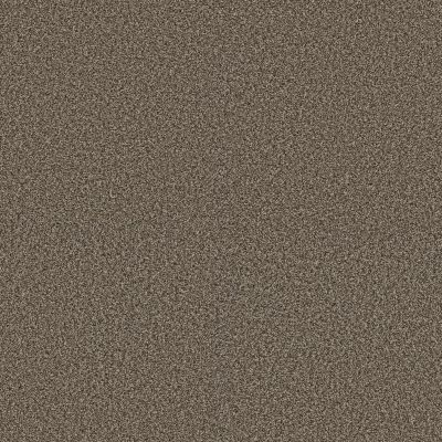 Shaw Floors Pet Perfect Plus Renewed Energy I Fence Post 00715_5E671