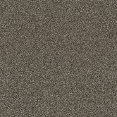 Shaw Floors Pet Perfect Plus Renewed Energy I Mineral Bed 00716_5E671