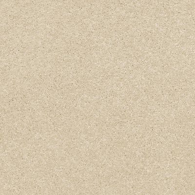 Shaw Floors Pet Perfect Plus Basic Rules Eggshell 00102_E9639