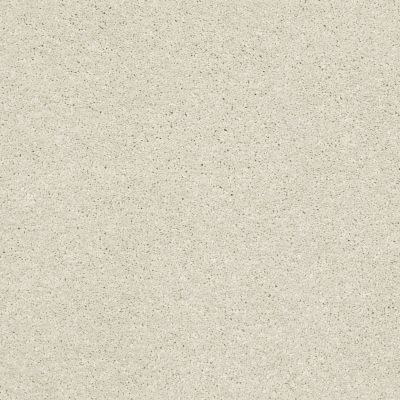 Shaw Floors Pet Perfect Plus Basic Rules Creamery 00103_E9639