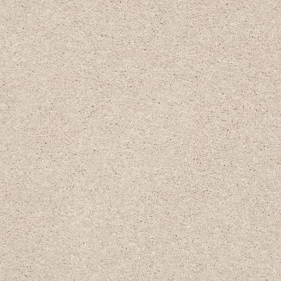 Shaw Floors Pet Perfect Plus Basic Rules Blush 00104_E9639