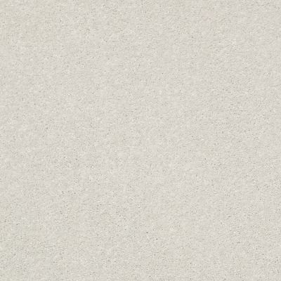 Shaw Floors Pet Perfect Plus Basic Rules Dew 00106_E9639