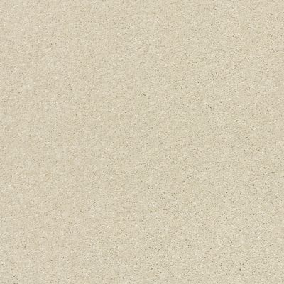Shaw Floors Pet Perfect Plus Basic Rules Linen 00110_E9639