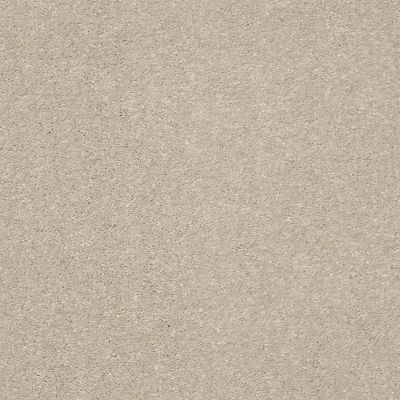 Shaw Floors Pet Perfect Plus Basic Rules Arctic Fox 00112_E9639