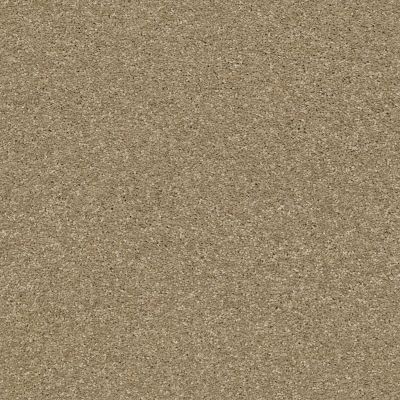 Shaw Floors Pet Perfect Plus Basic Rules Gold Rush 00200_E9639