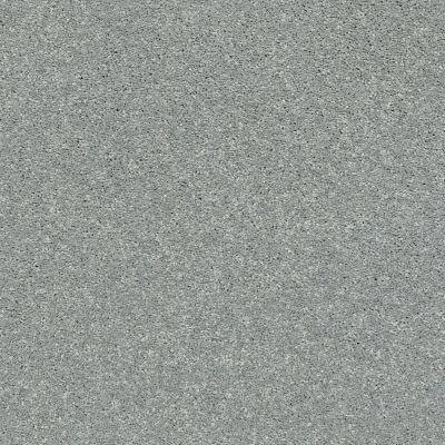 Shaw Floors Pet Perfect Plus Basic Rules Aquamarine 00400_E9639