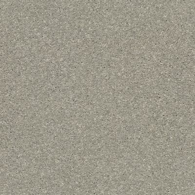 Shaw Floors Pet Perfect Plus Basic Rules Flax 00502_E9639