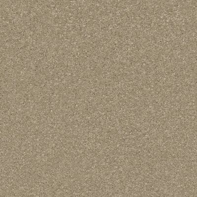 Shaw Floors Pet Perfect Plus Basic Rules Khaki 00700_E9639