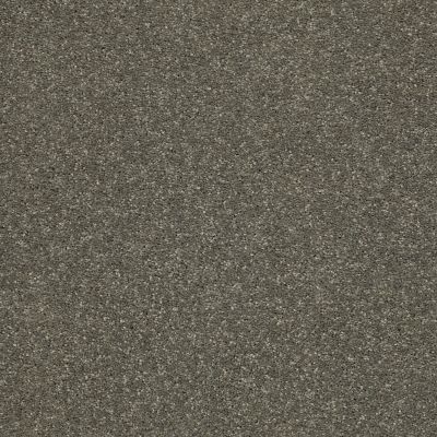 Shaw Floors PET PERFECT PLUS Basic Rules Portobello 00703_E9639