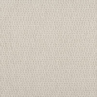 Shaw Floors PET PERFECT PLUS Crafted Embrace Sentimental 00101_5E455