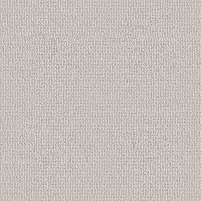 Shaw Floors PET PERFECT PLUS Crafted Embrace Champagne Toast 00103_5E455