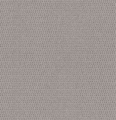 Shaw Floors PET PERFECT PLUS Crafted Embrace Split Sediment 00104_5E455