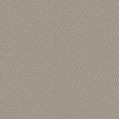 Shaw Floors PET PERFECT PLUS Crafted Embrace Sandstone 00108_5E455