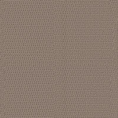 Shaw Floors PET PERFECT PLUS Crafted Embrace Dark Maple 00109_5E455