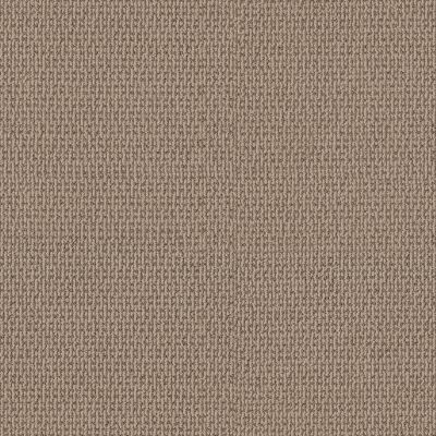 Shaw Floors PET PERFECT PLUS Crafted Embrace Beige Bisque 00110_5E455