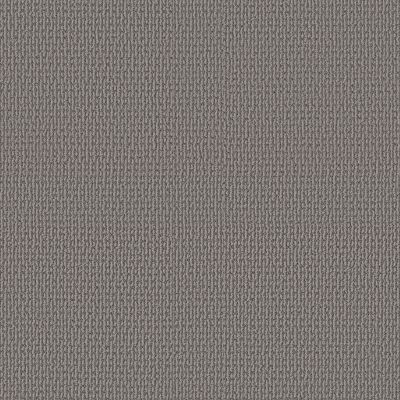 Shaw Floors PET PERFECT PLUS Crafted Embrace Harbor Dock 00504_5E455