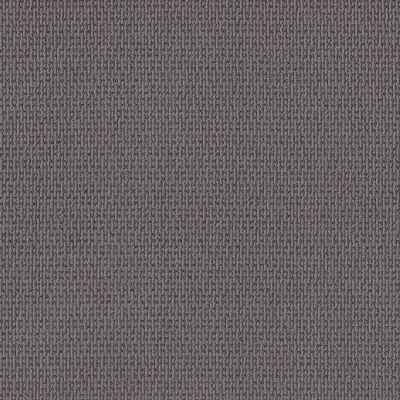 Shaw Floors PET PERFECT PLUS Crafted Embrace Dolphin 00507_5E455