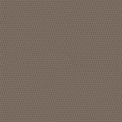 Shaw Floors PET PERFECT PLUS Crafted Embrace Raw Wood 00700_5E455