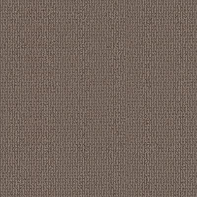 Shaw Floors PET PERFECT PLUS Crafted Embrace Chestnut 00701_5E455