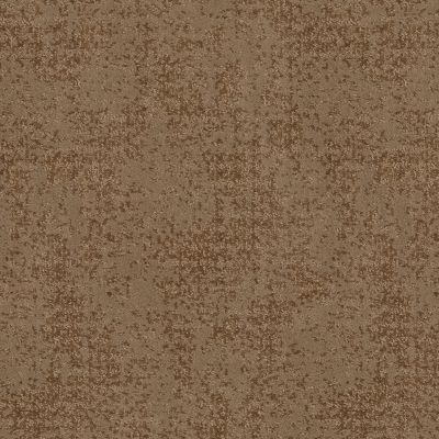 Anderson Tuftex Artistic Presence Raw Wood 00720_CC73B