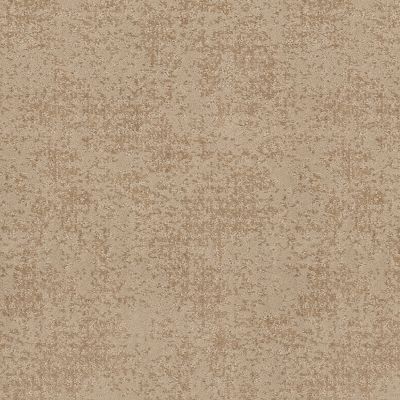 Anderson Tuftex Artistic Presence Natural Beauty 00721_CC73B