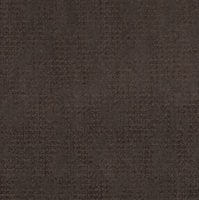 Anderson Tuftex Artistic Presence Burma Brown 00752_CC73B