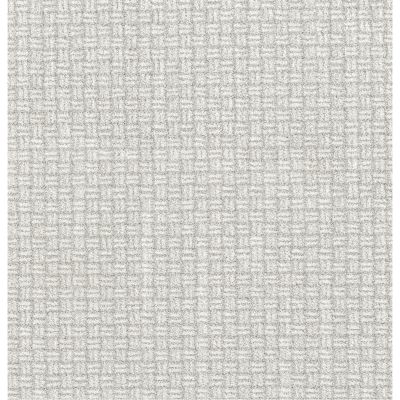 Shaw Floors Pet Perfect Plus Soothing Surround Snow Cap 00100_5E275